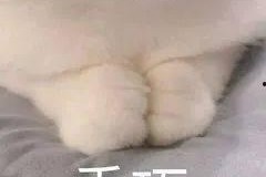 国产a斤,引领行业新潮流的匠心之作